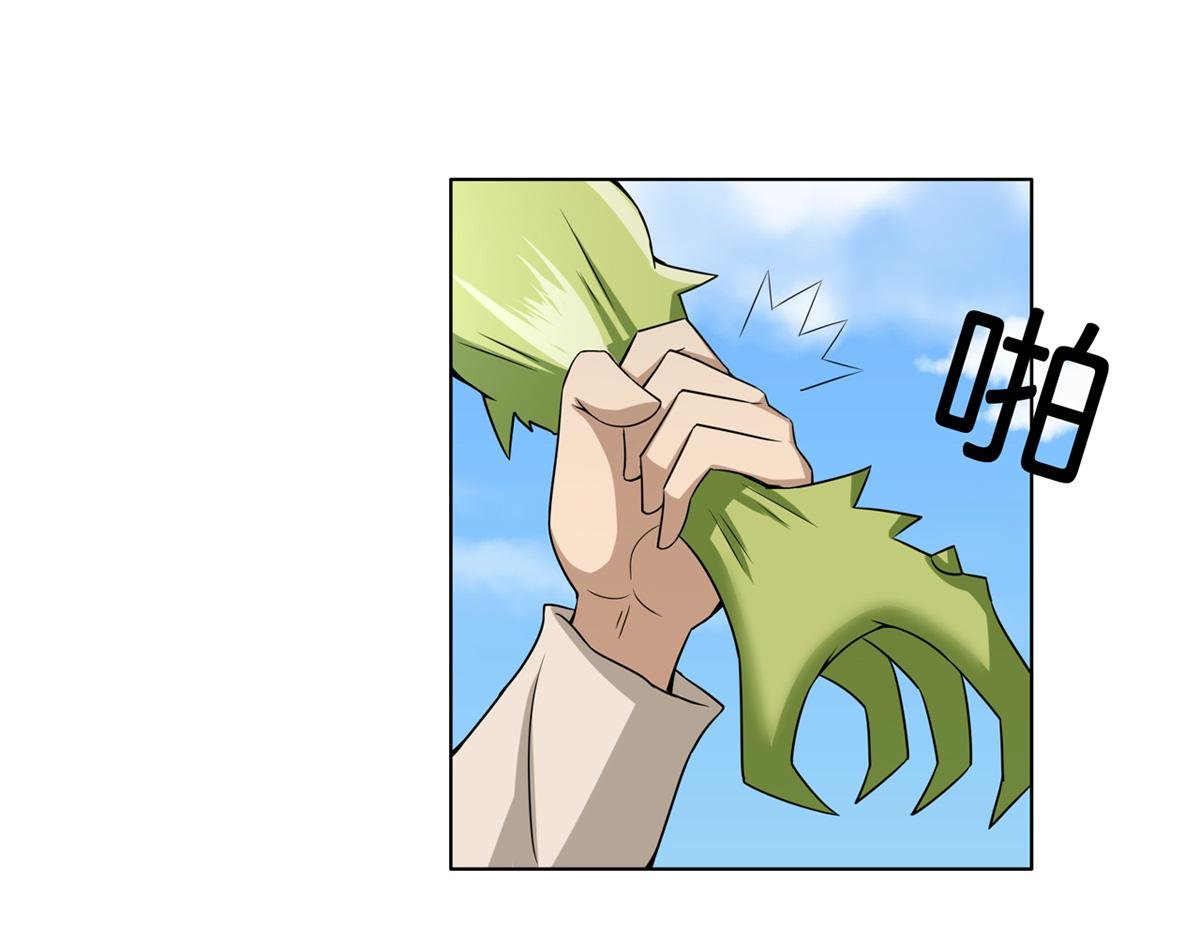 来自花城的少年