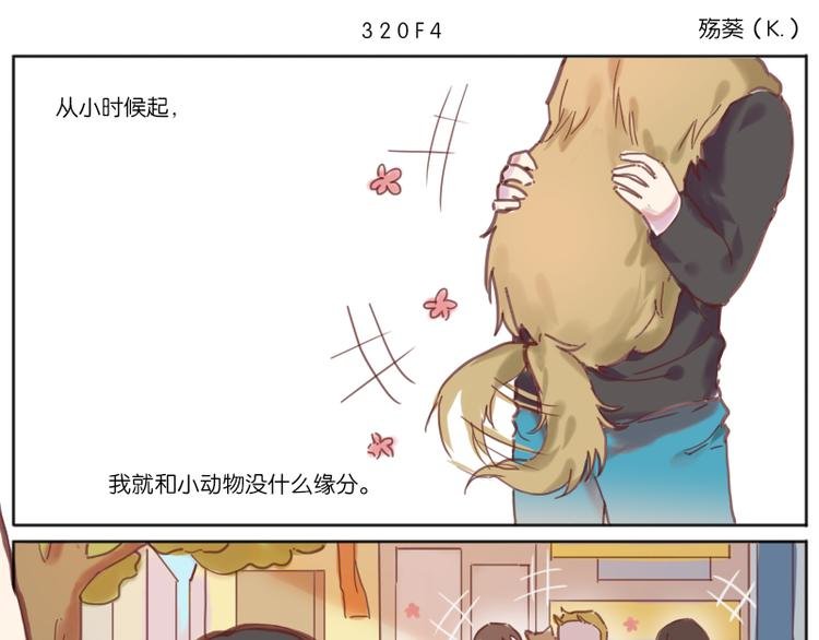 少年与猫