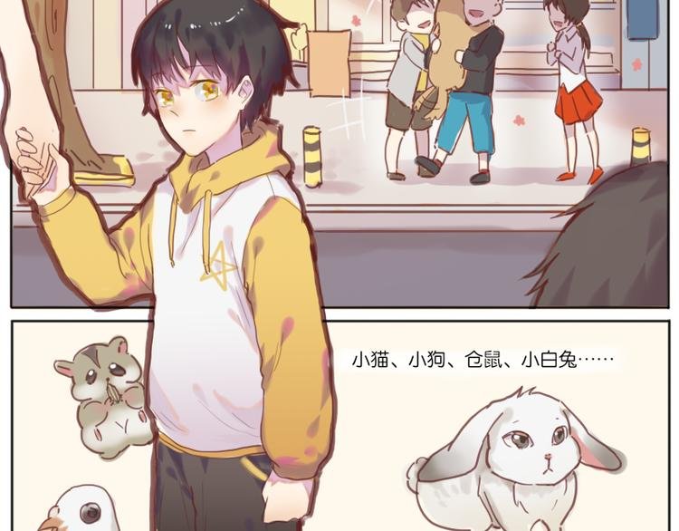 少年与猫