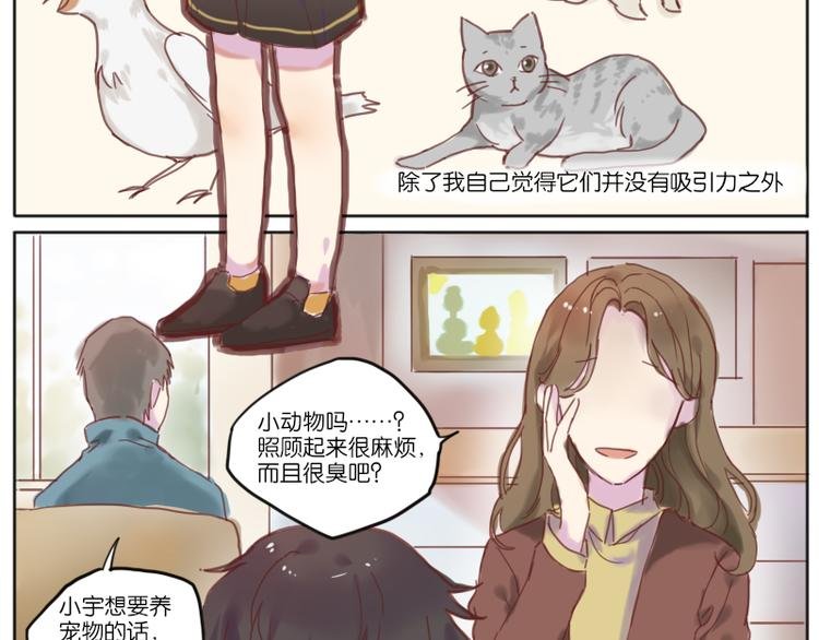 少年与猫
