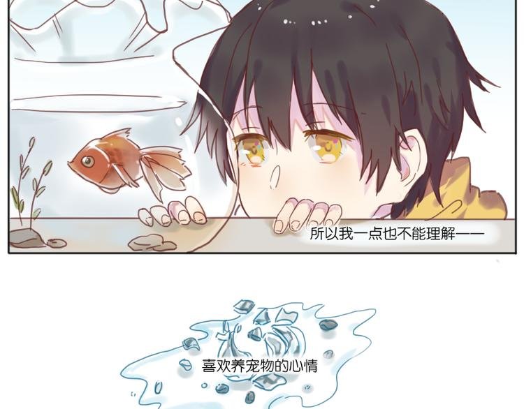 少年与猫