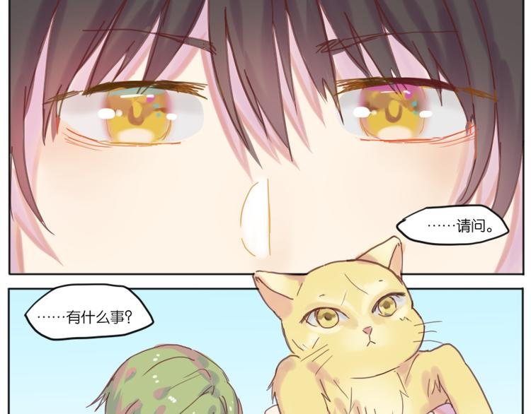 少年与猫