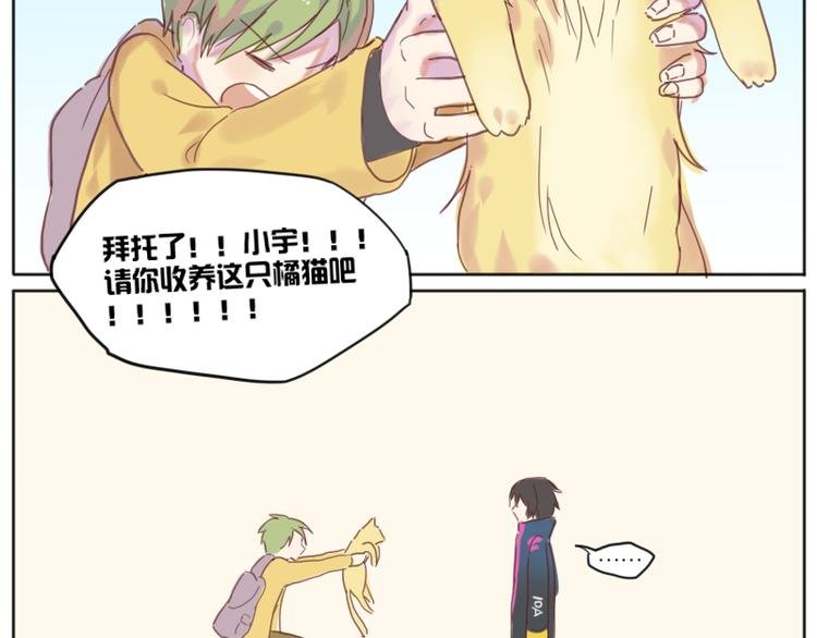 少年与猫