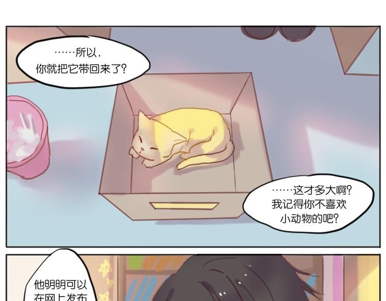 少年与猫