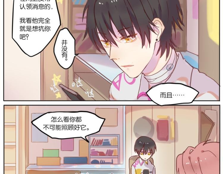 少年与猫
