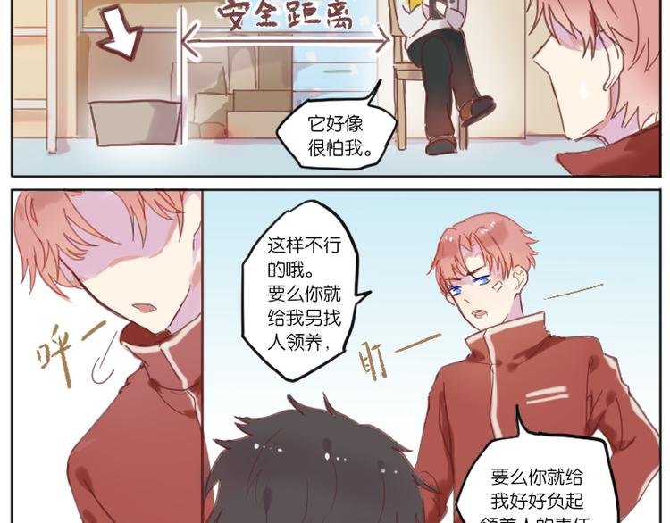 少年与猫