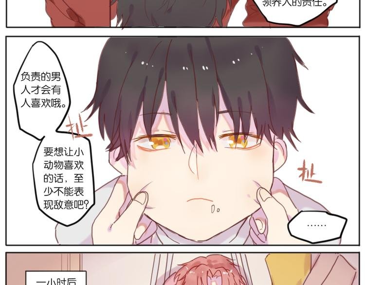 少年与猫