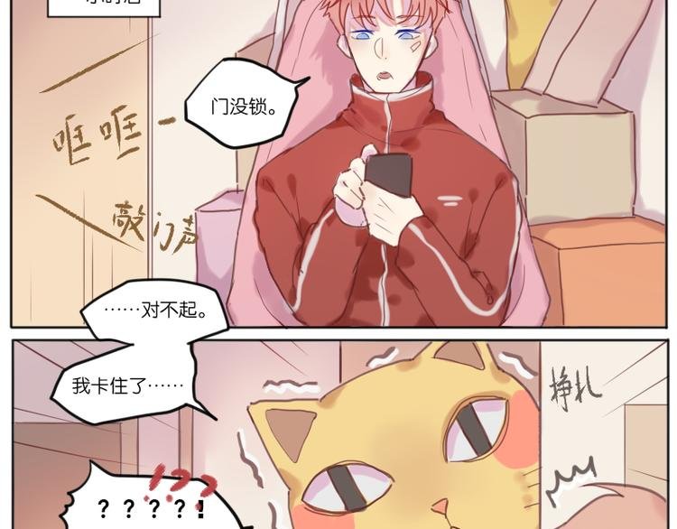 少年与猫