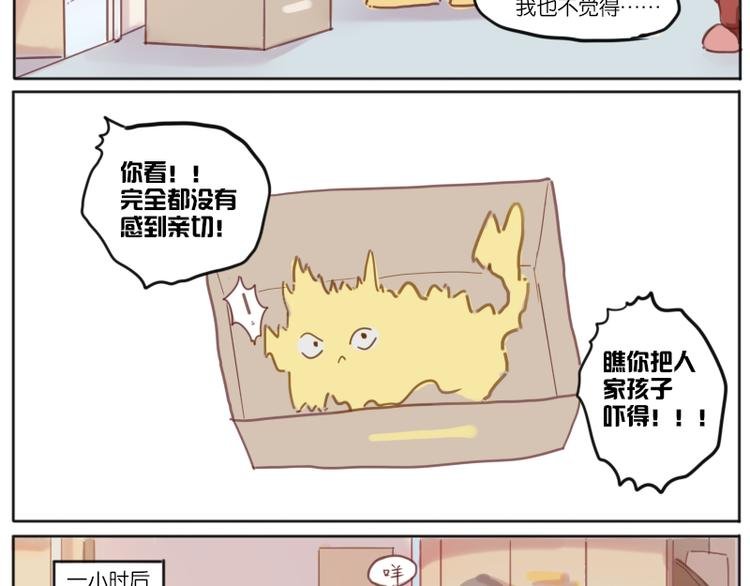 少年与猫