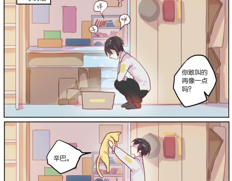少年与猫