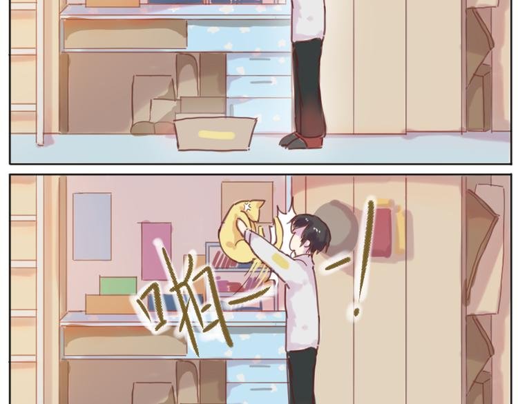 少年与猫