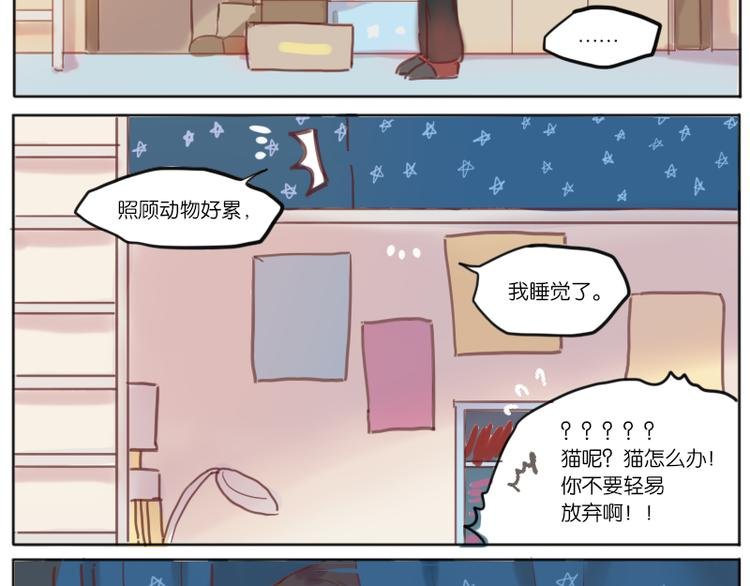 少年与猫