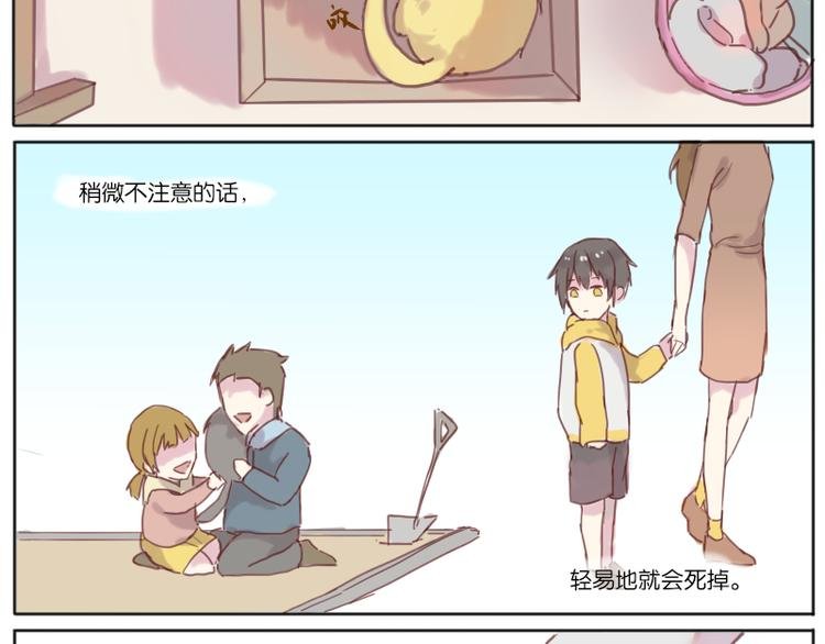 少年与猫