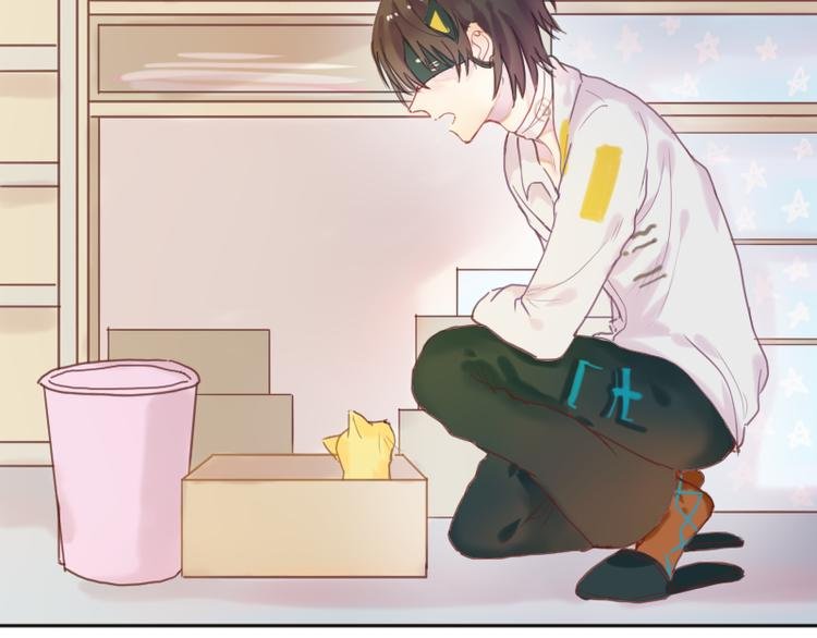 少年与猫