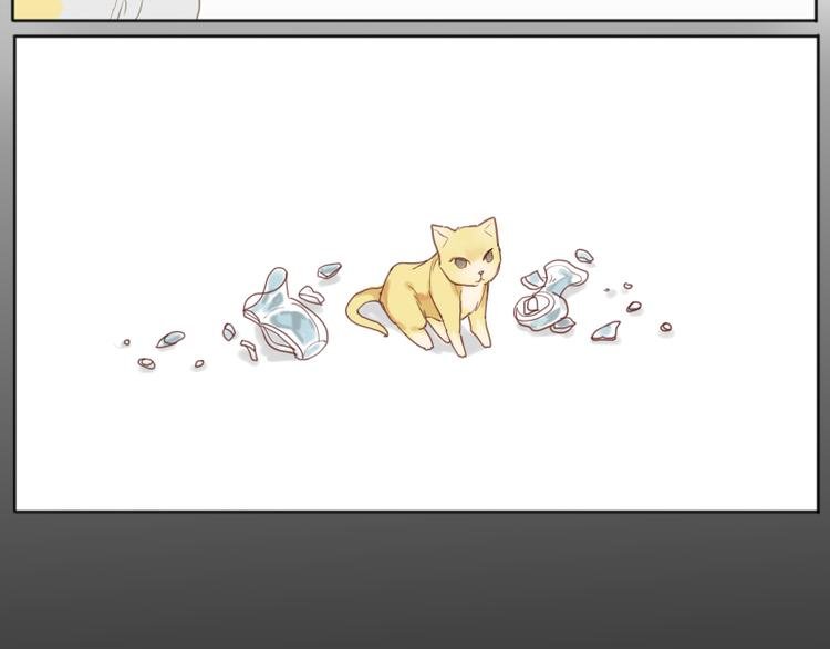 少年与猫