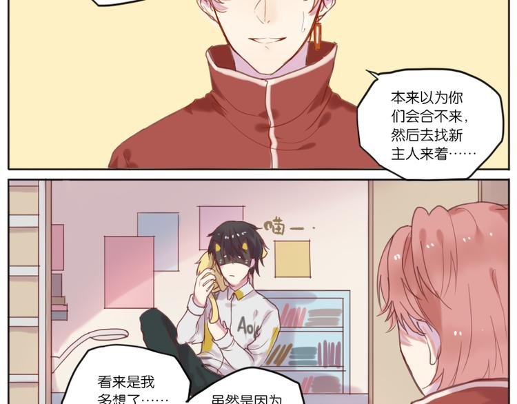 少年与猫