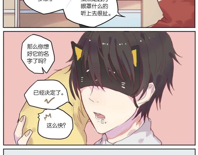 少年与猫