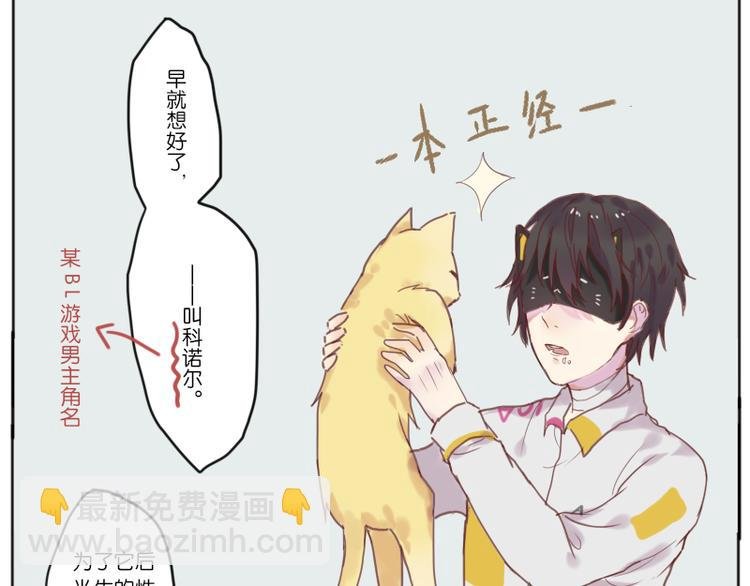 少年与猫