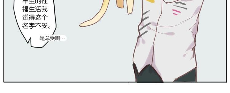 少年与猫