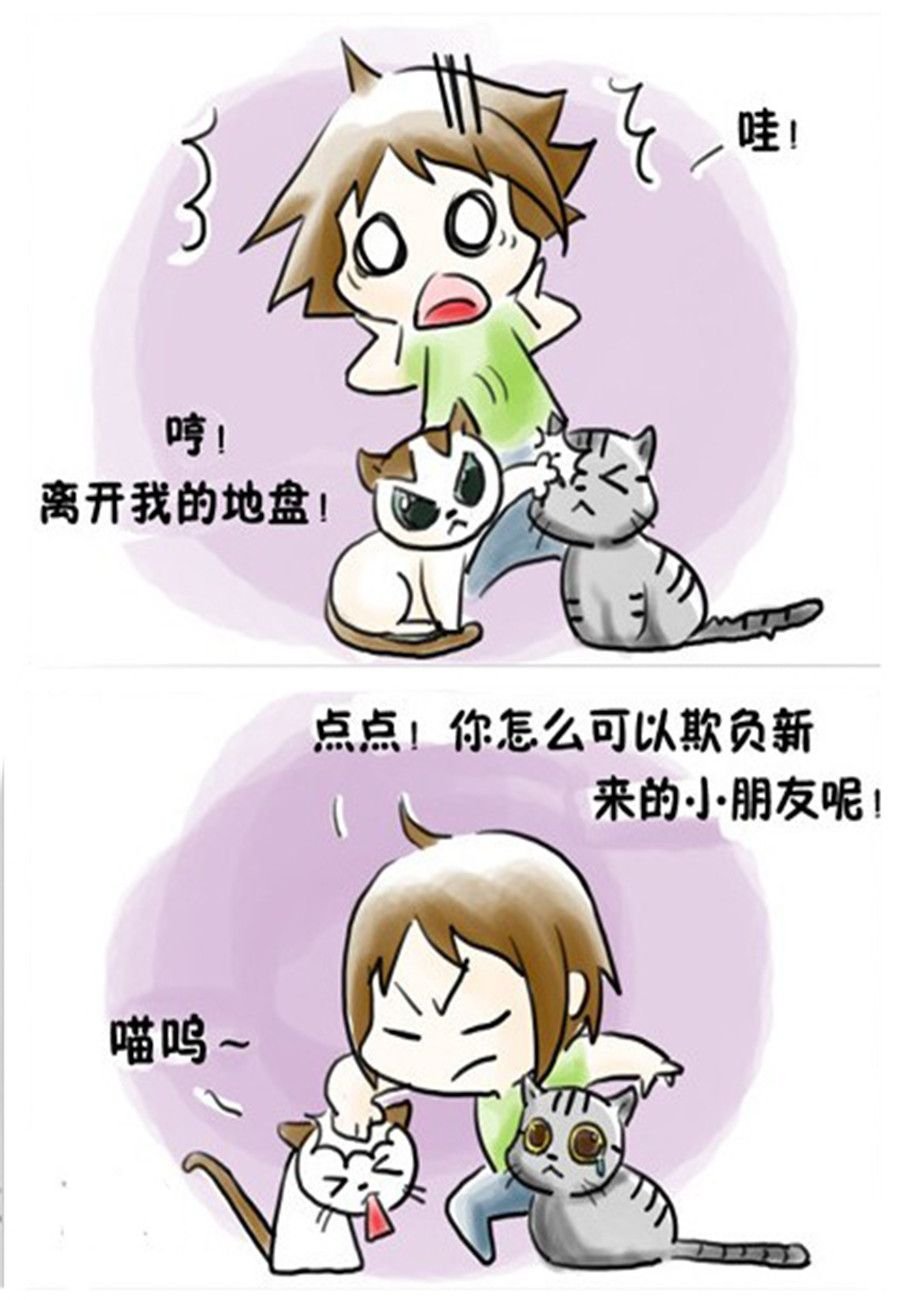 喵喵家族 第10集