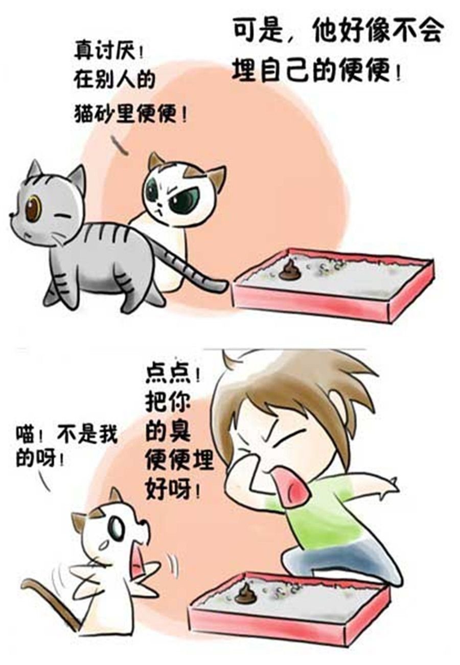 喵喵家族 第11集