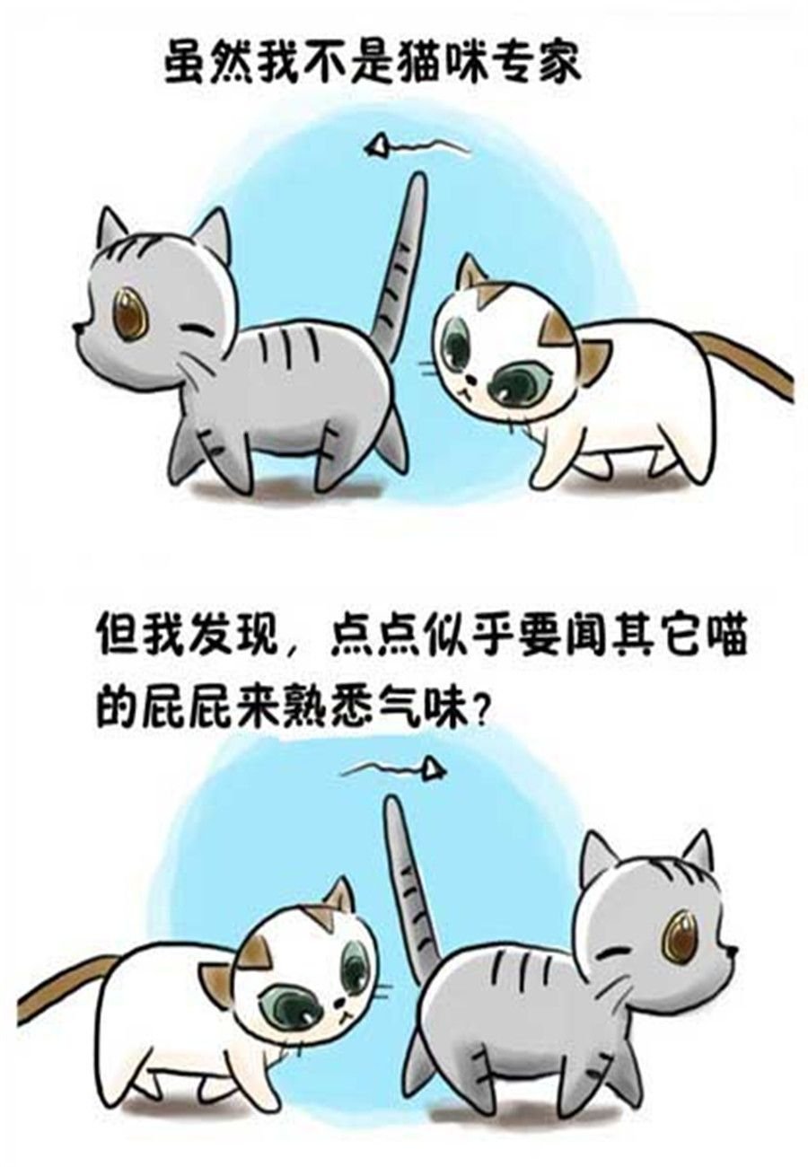喵喵家族 第12集
