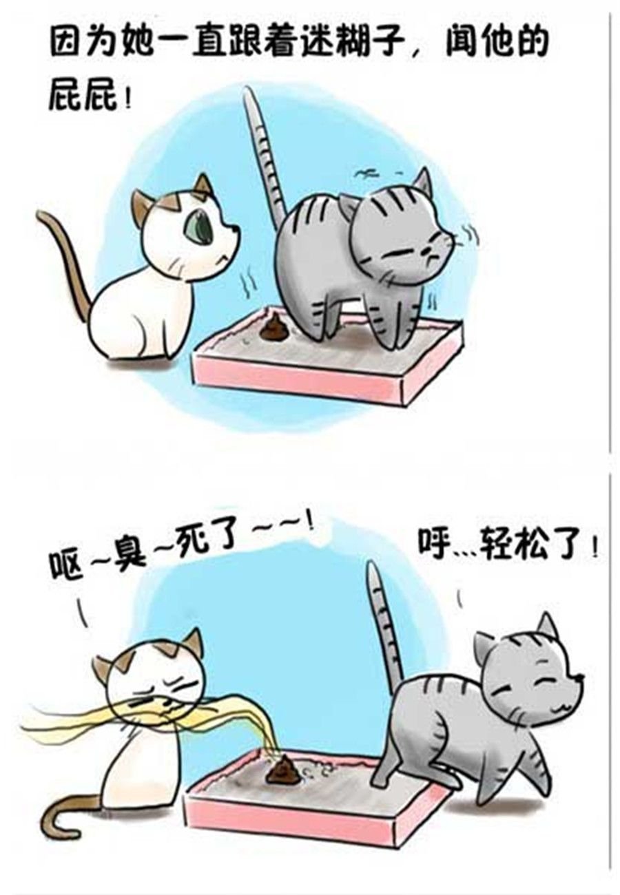 喵喵家族 第12集