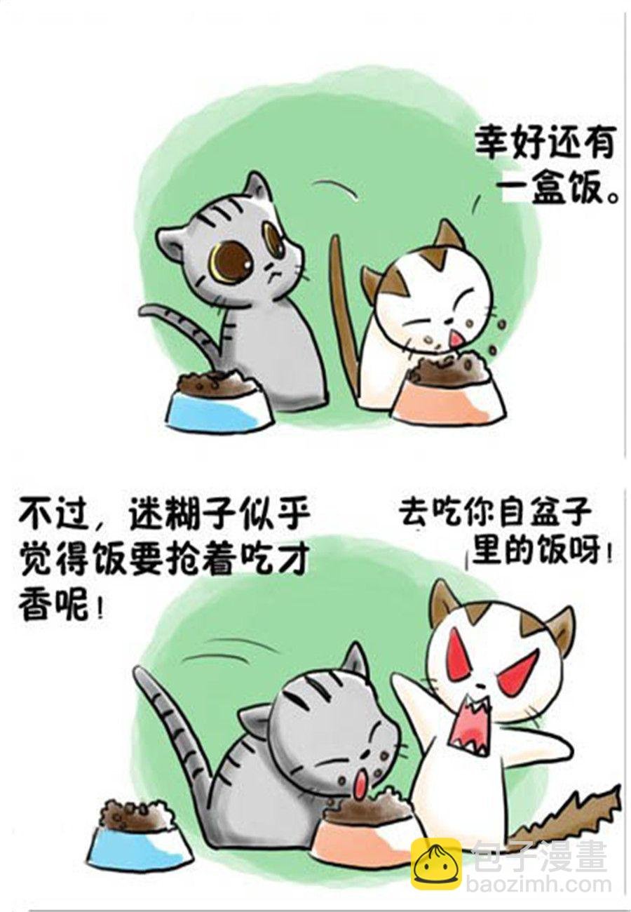 喵喵家族 第13集