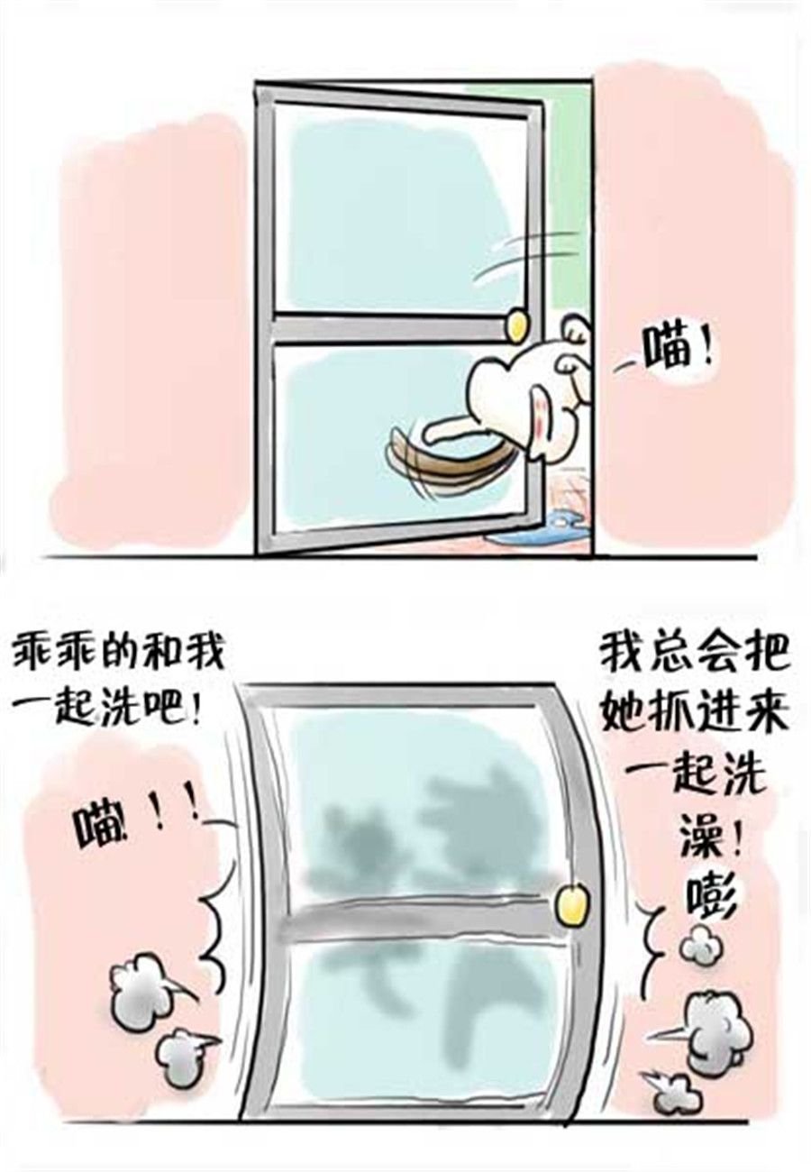 喵喵家族 第14集