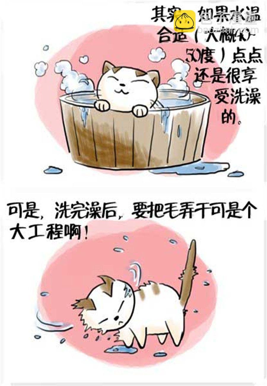 喵喵家族 第15集