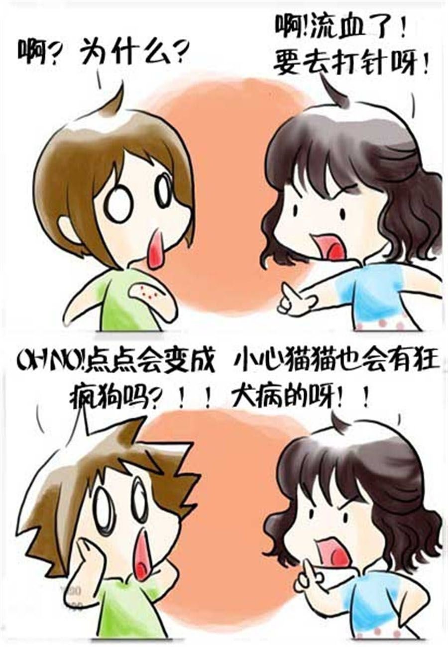 喵喵家族 第16集