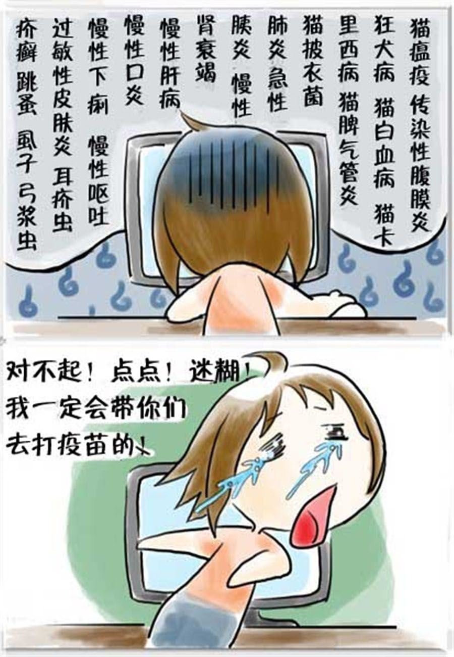 喵喵家族 第16集