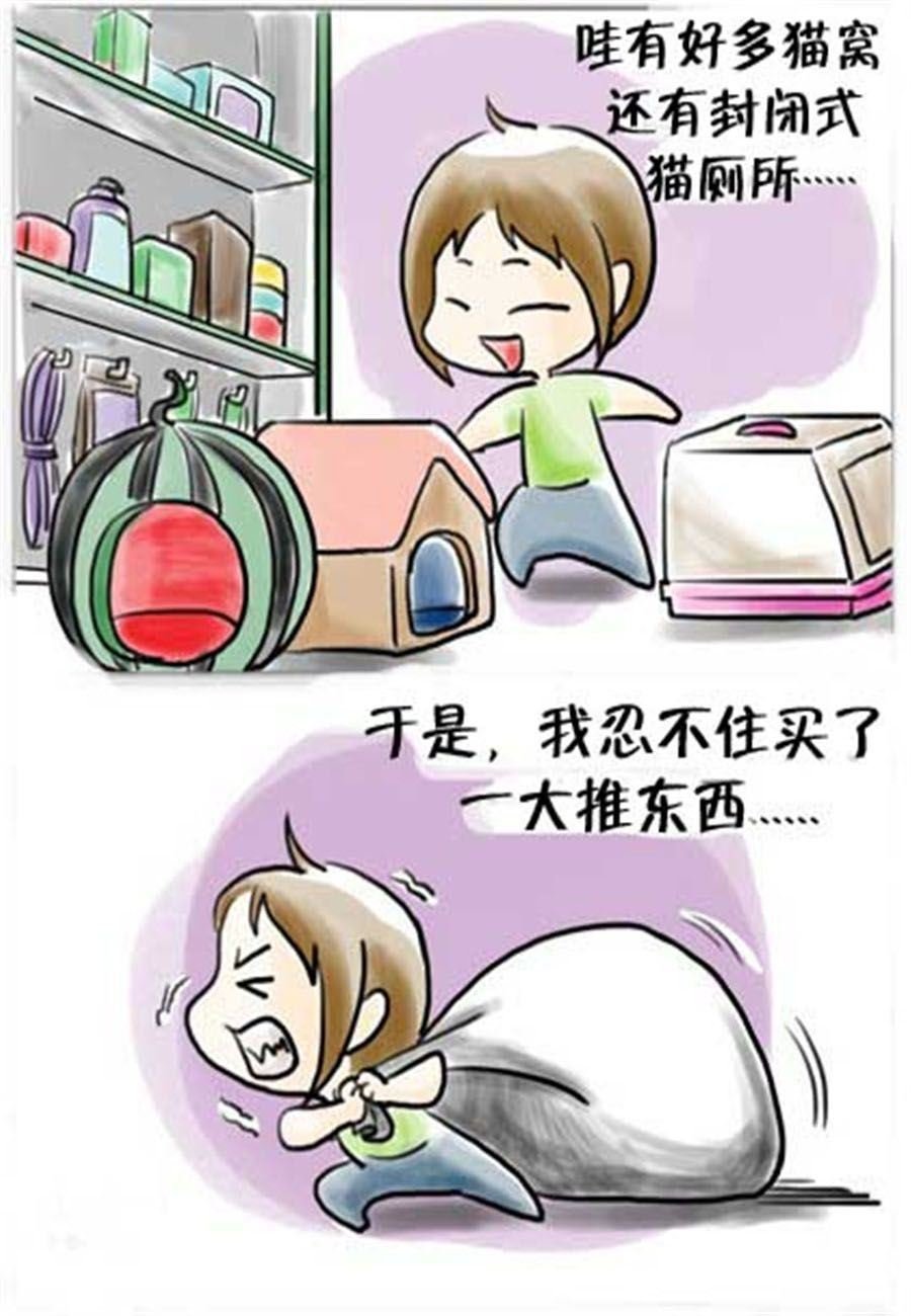 喵喵家族 第16集