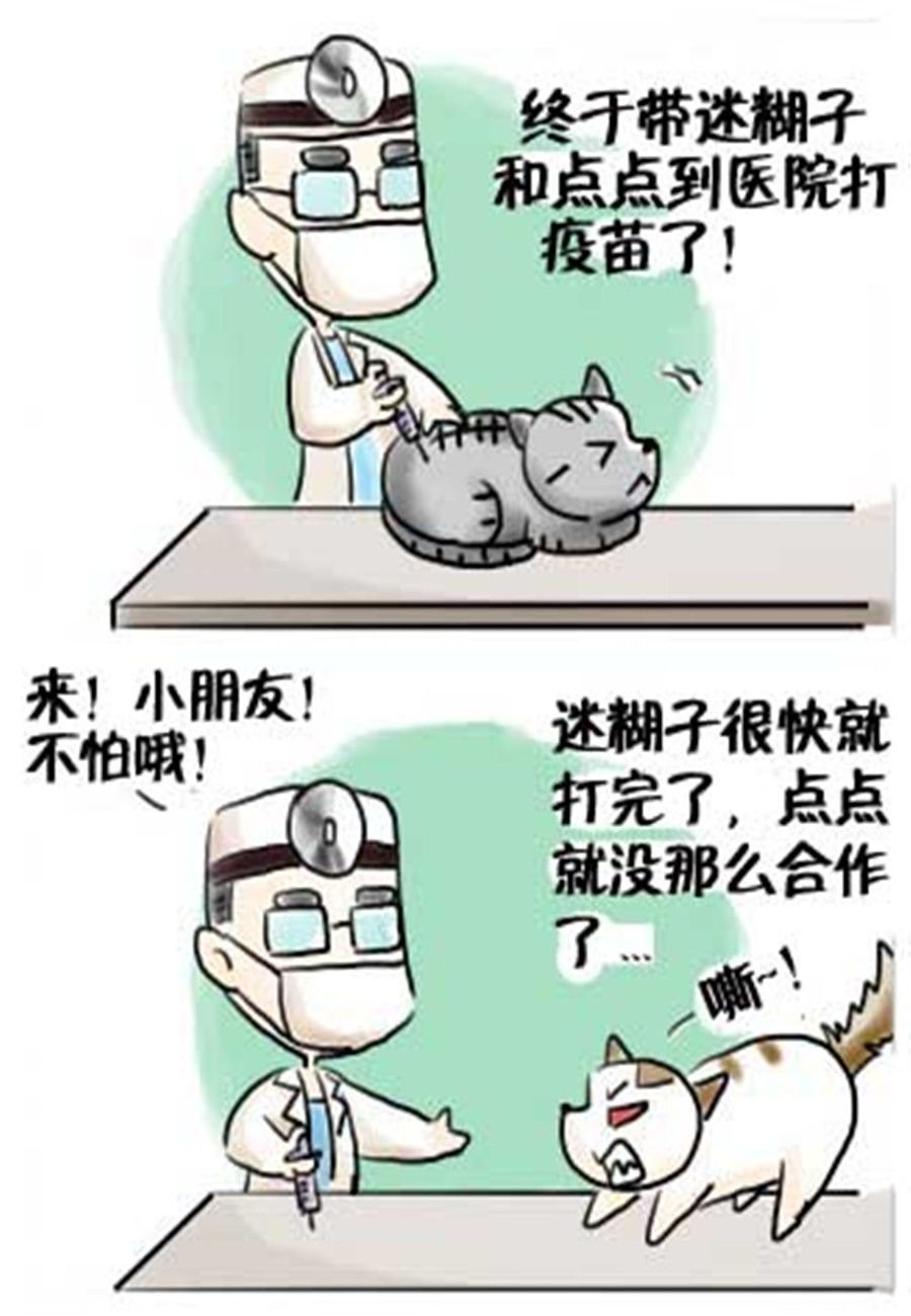 喵喵家族 第17集