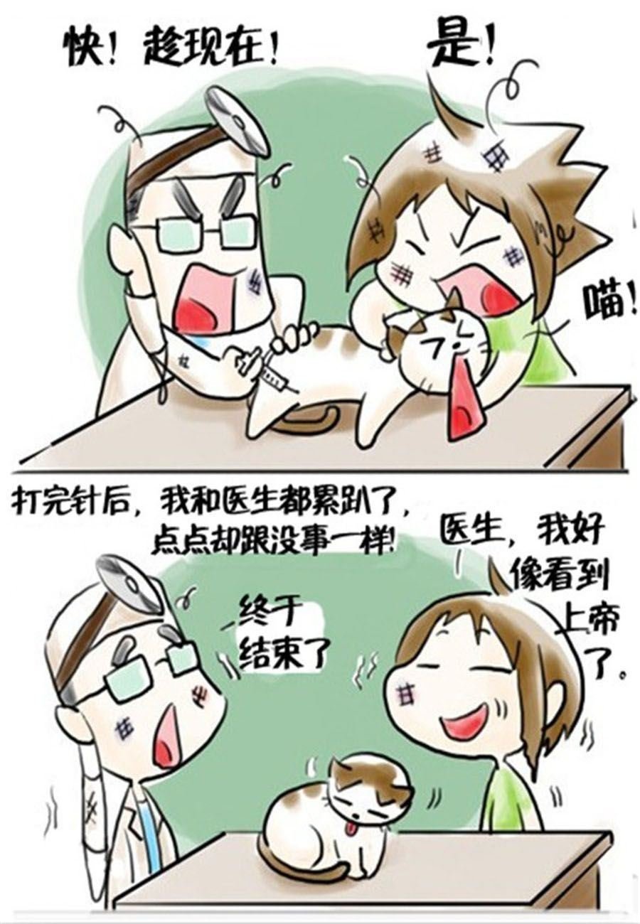 喵喵家族 第18集