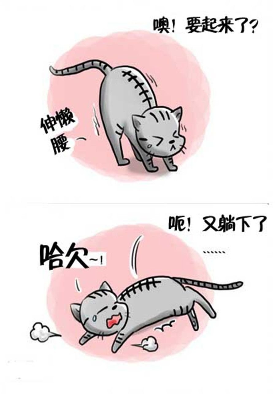 喵喵家族 第18集