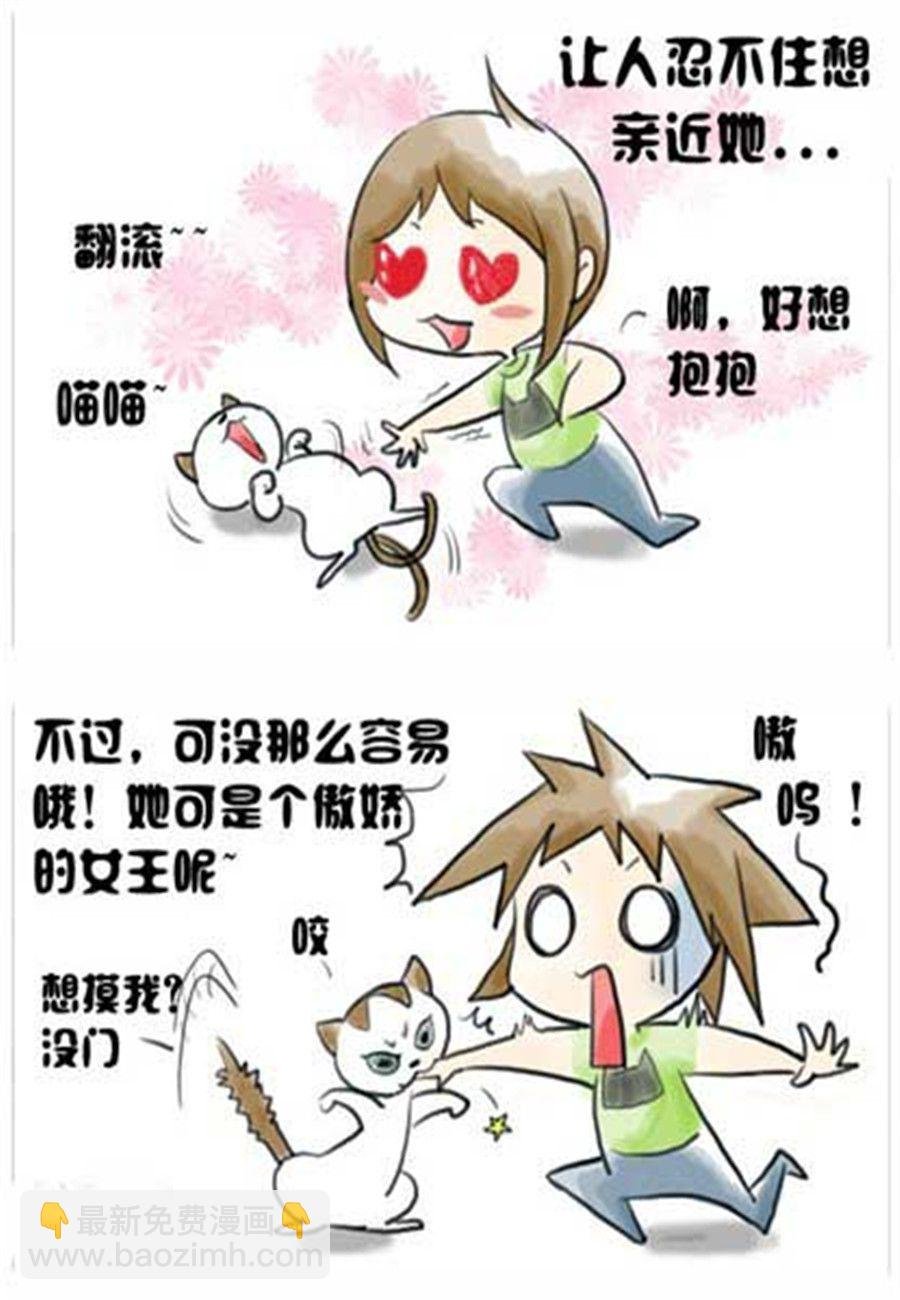 喵喵家族 第2集
