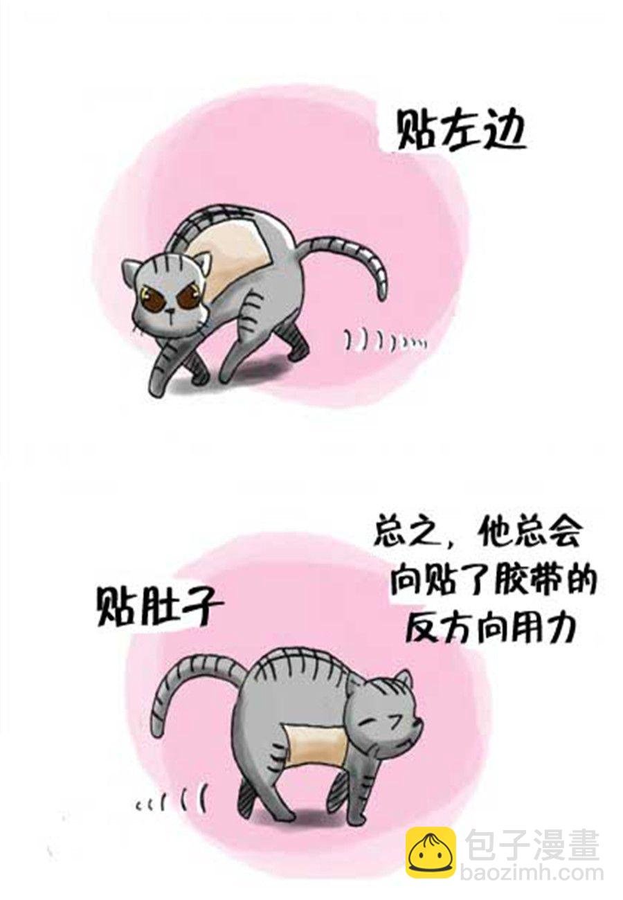 喵喵家族 第20集