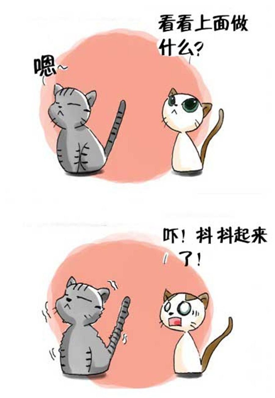 喵喵家族 第20集