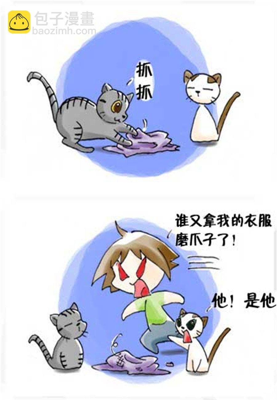 喵喵家族 第21集