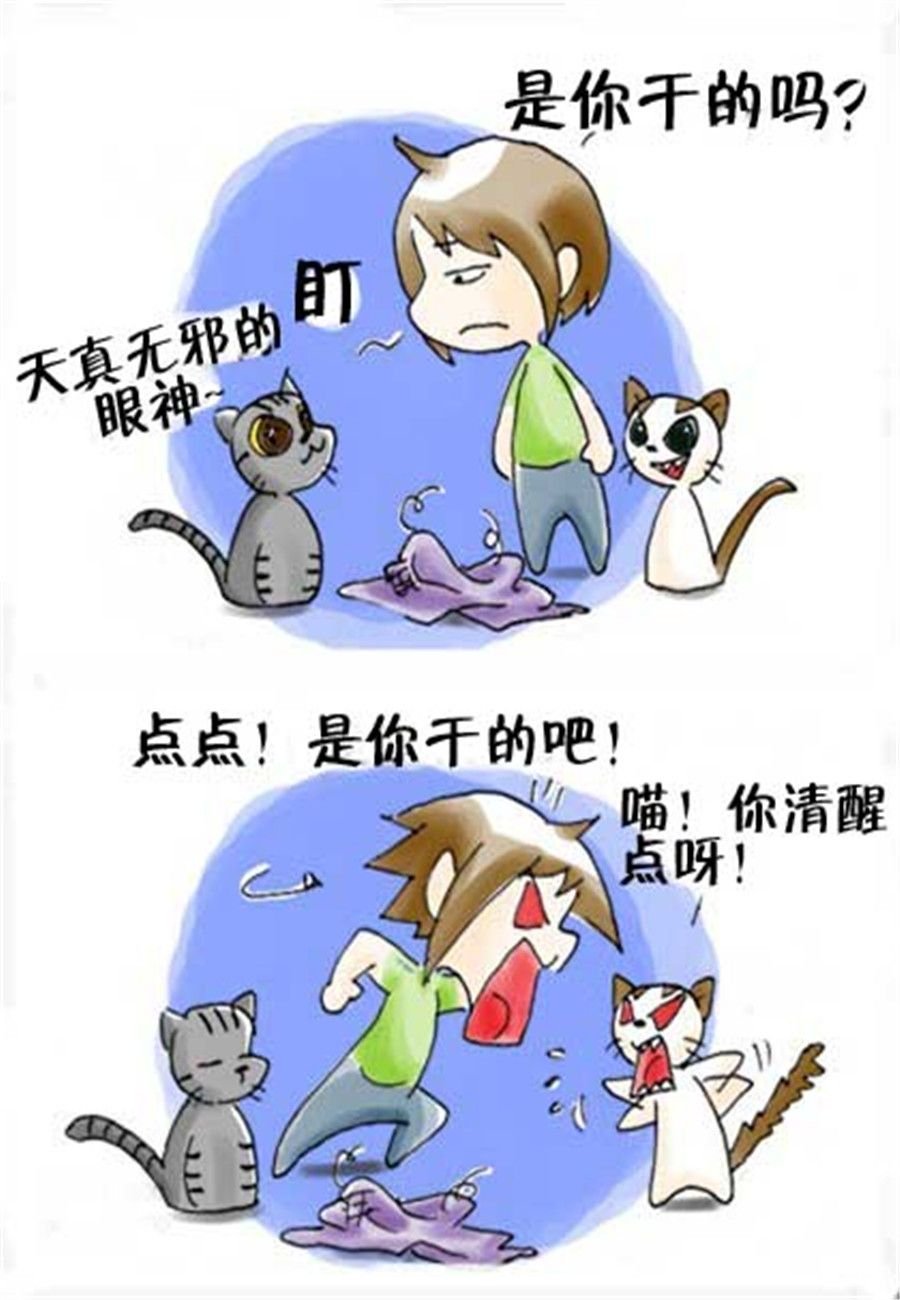 喵喵家族 第21集