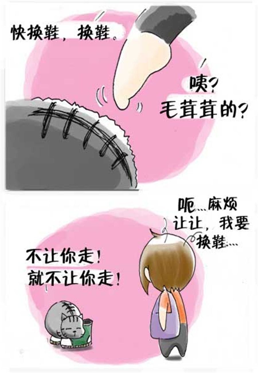 喵喵家族 第21集