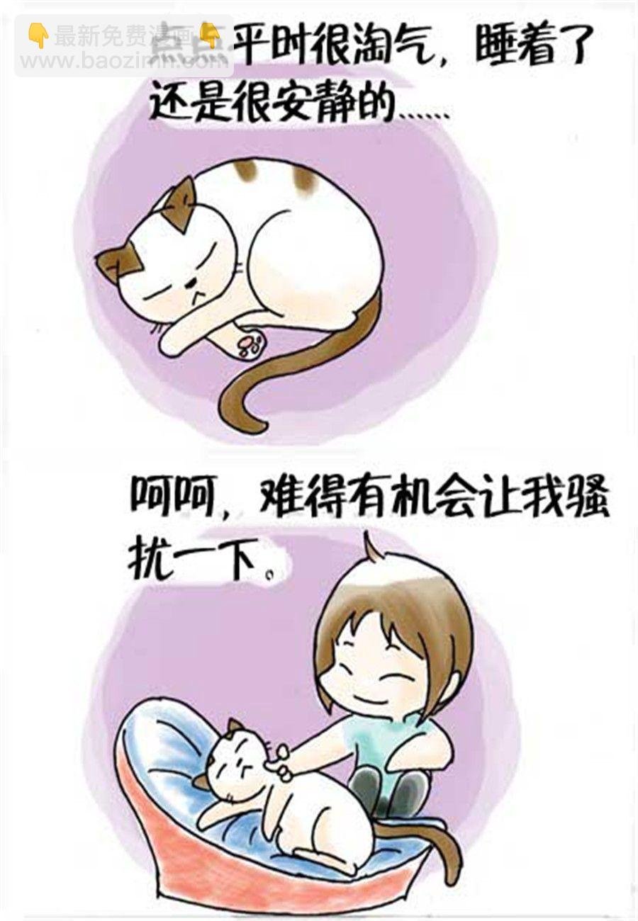 喵喵家族 第24集