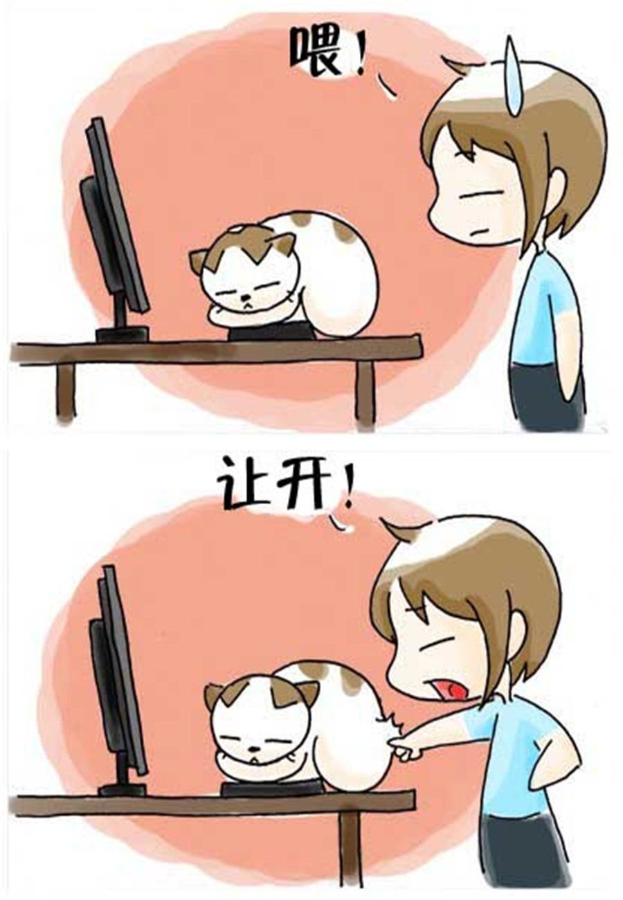 喵喵家族 第27集