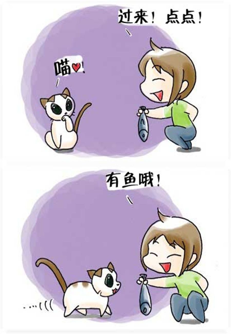 喵喵家族 第28集