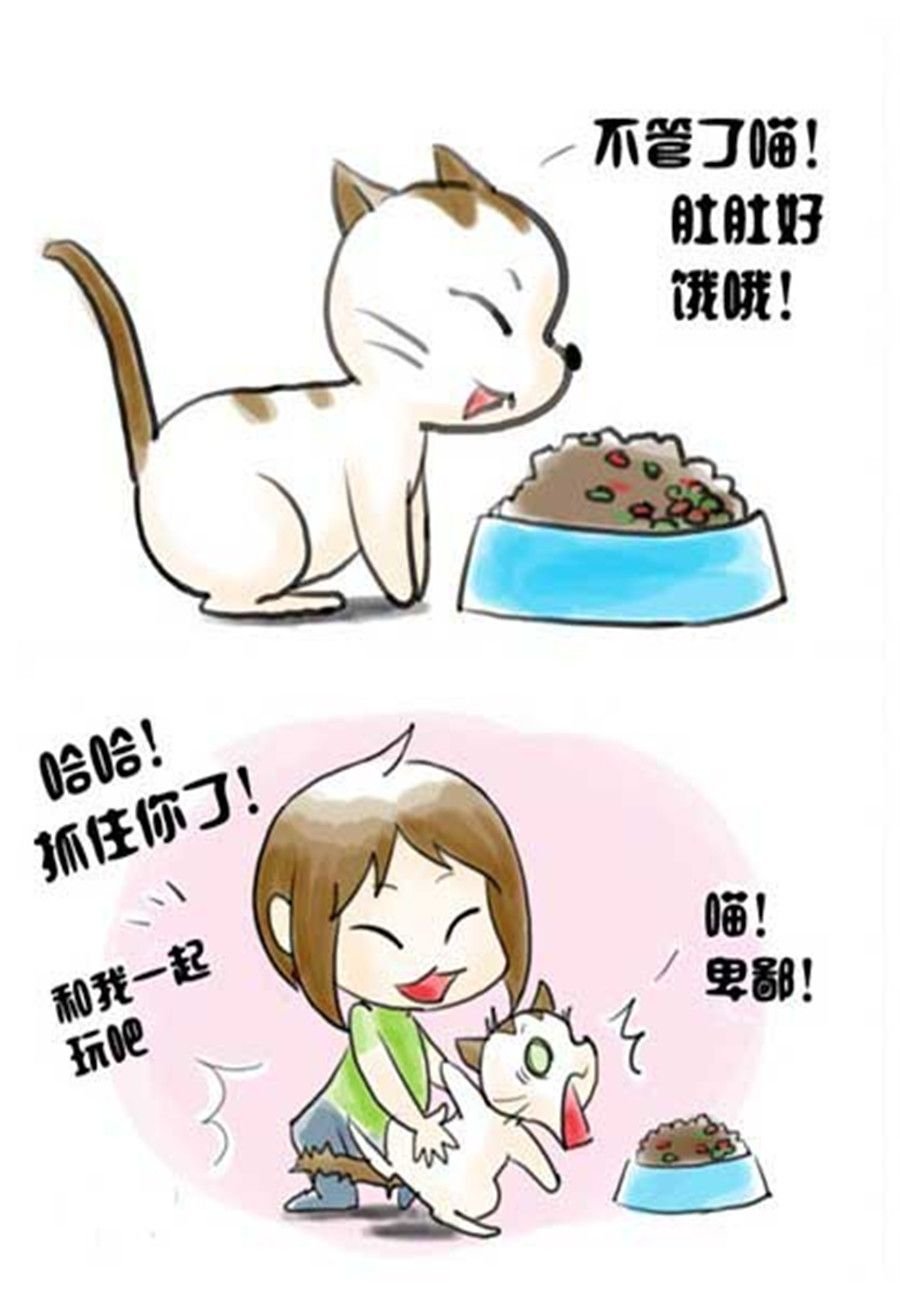喵喵家族 第3集