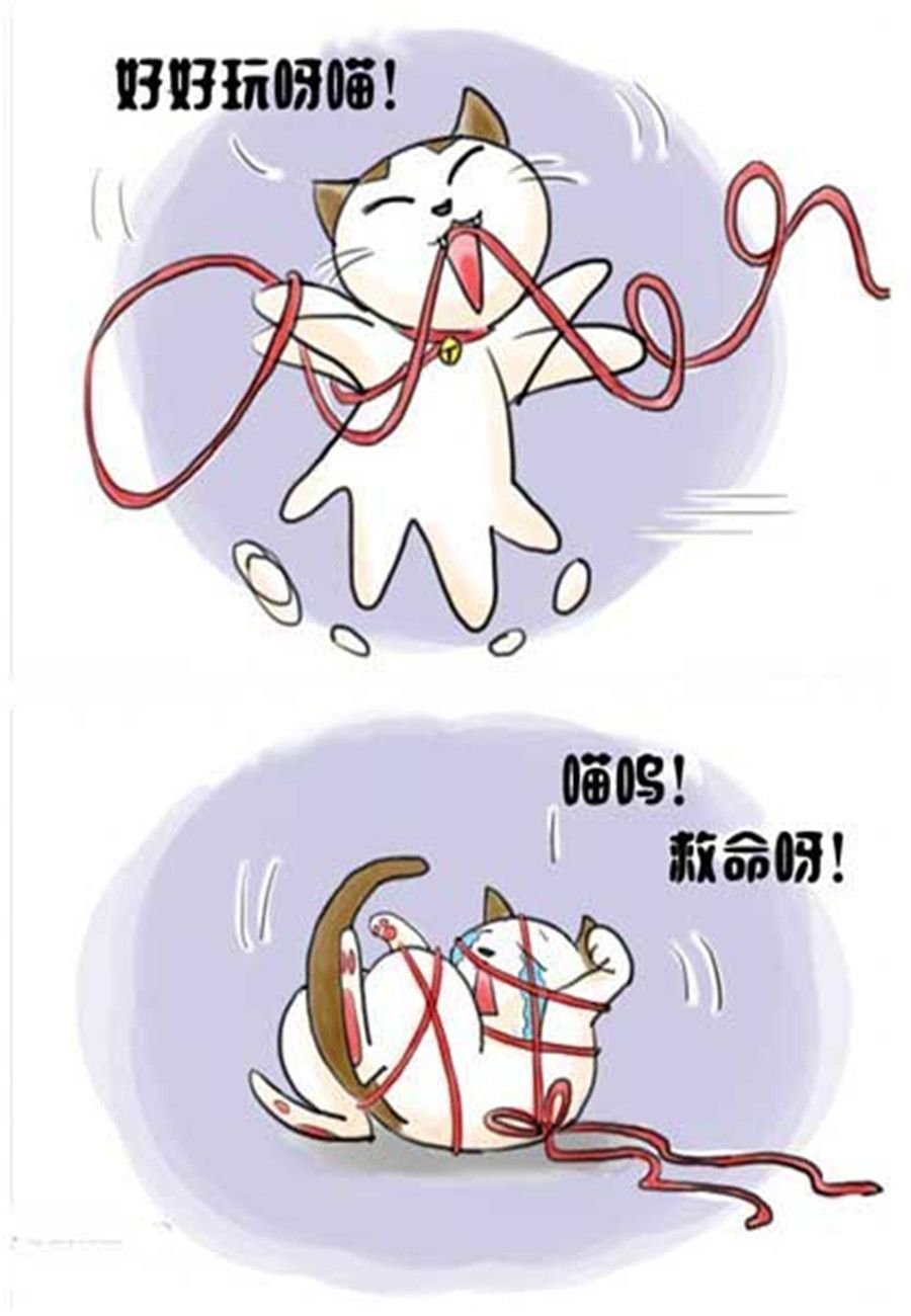 喵喵家族 第3集