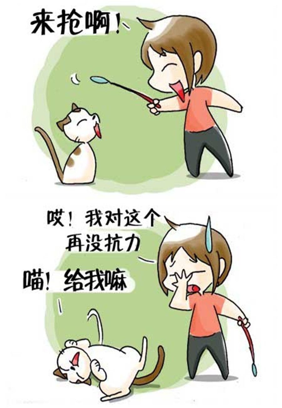 喵喵家族 第30集