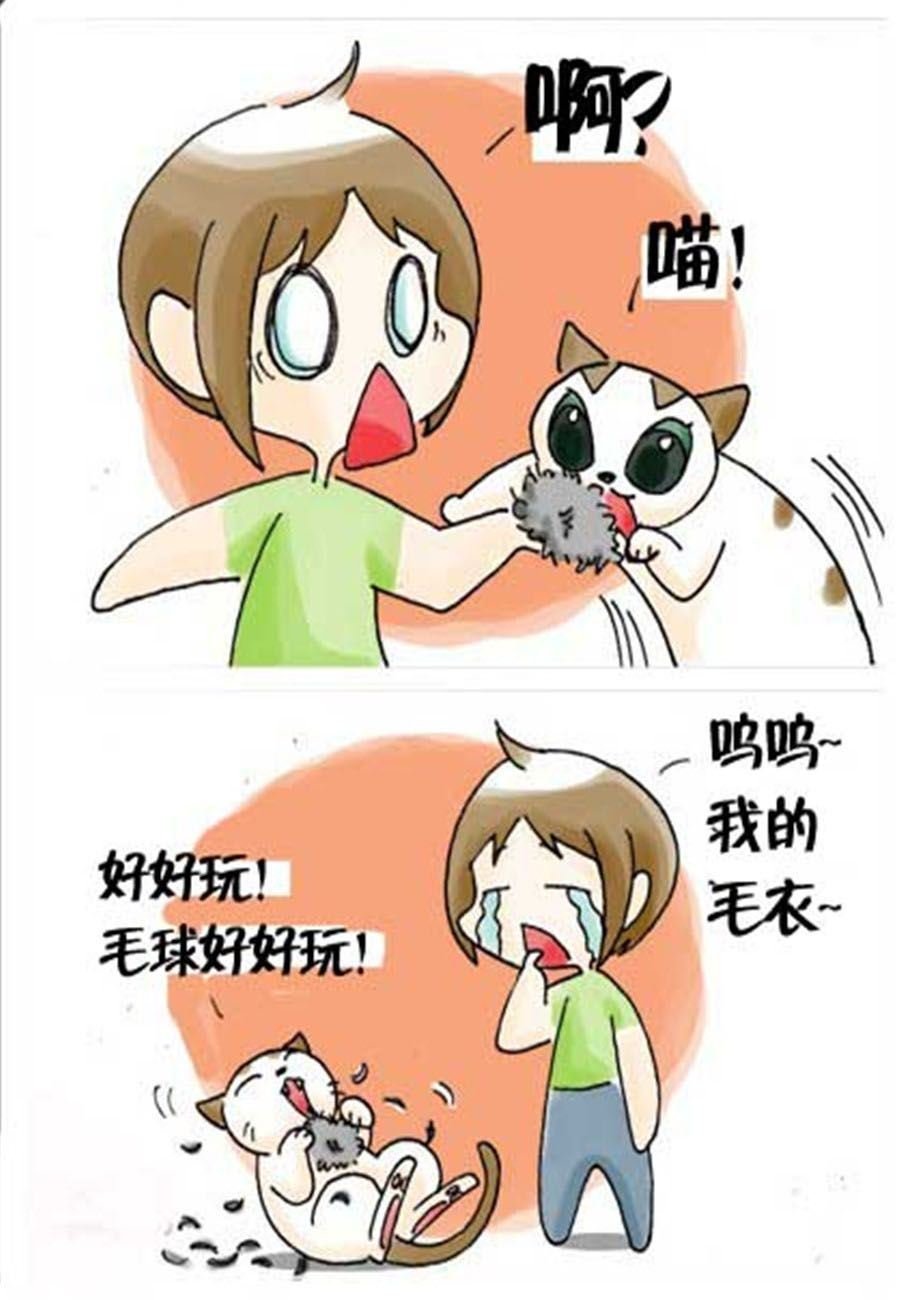 喵喵家族 第31集
