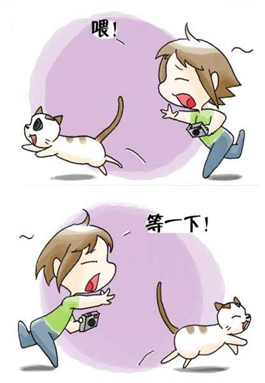 喵喵家族 第33集